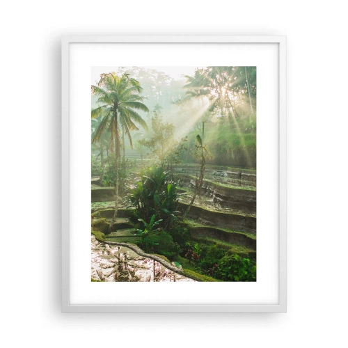 Poster in een witte lijst - Opgroeien in de zon - 40x50 cm