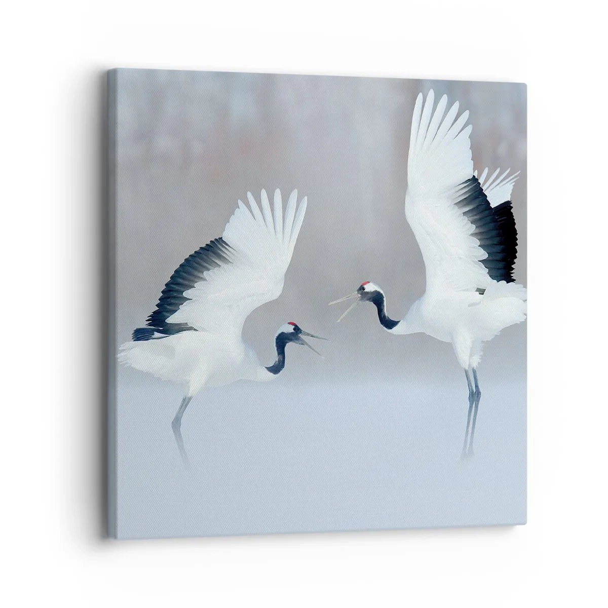 Schilderen op canvas - Dans in de mist - 30x30 cm