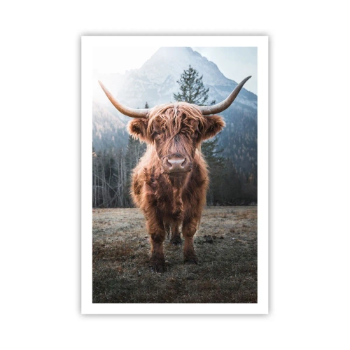 Poster - Groeten uit de bergweide - 61x91 cm