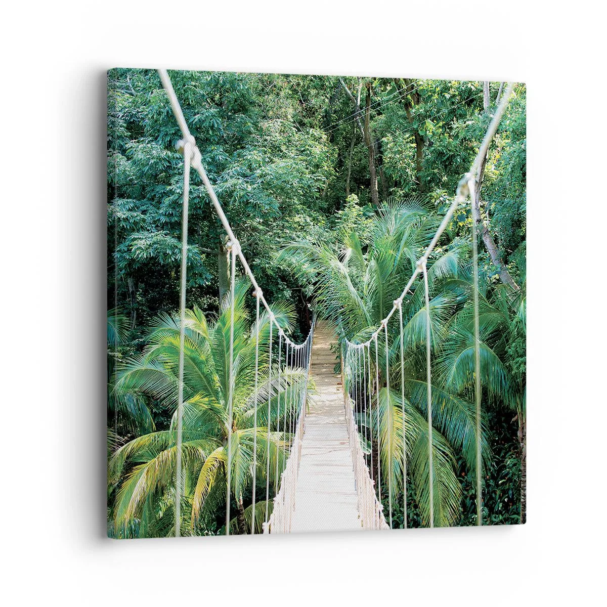 Schilderen op canvas - Welkom in de jungle! - 30x30 cm
