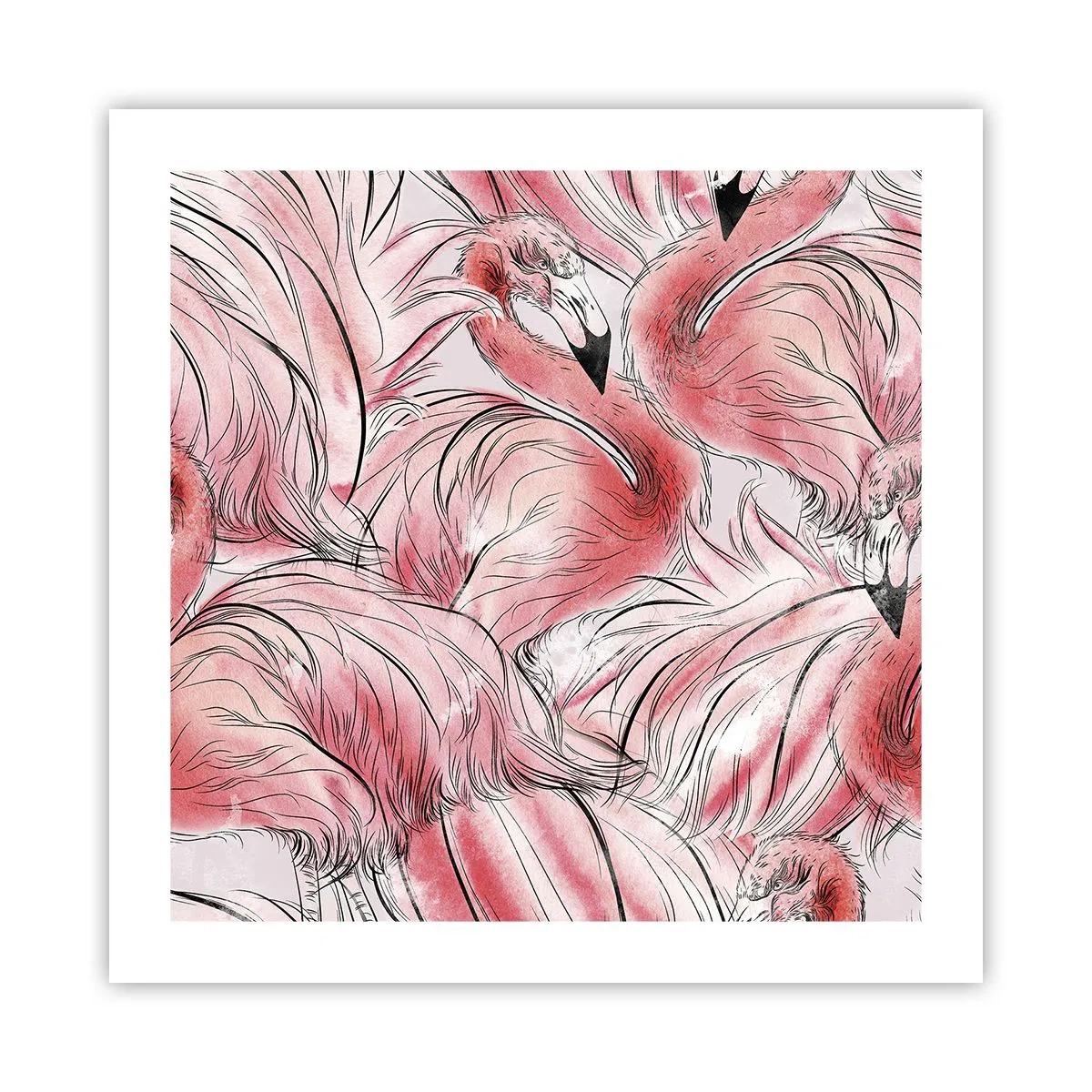 Poster - Vogelcorps de ballet - 50x50 cm