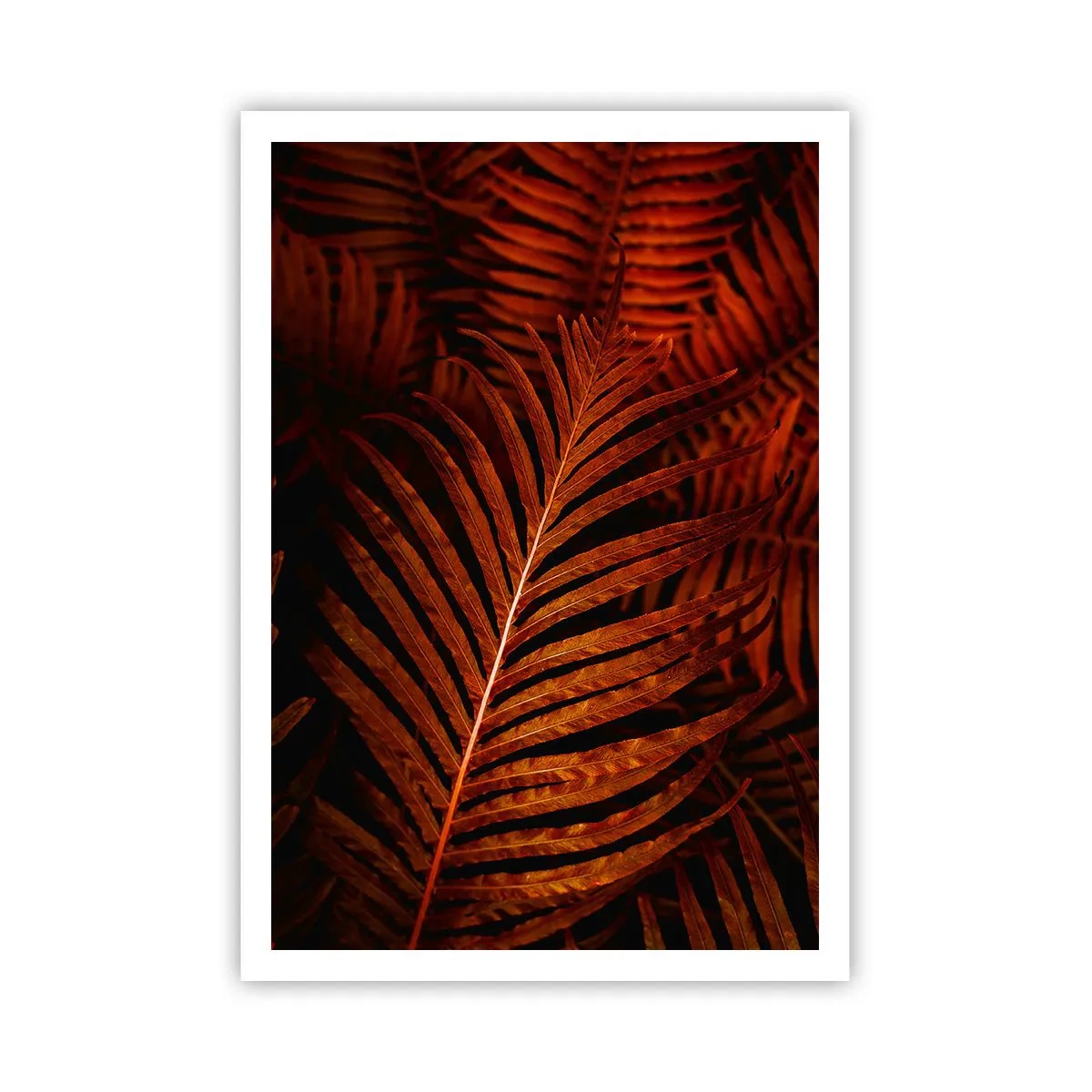 Poster - De hitte van het leven - 70x100 cm