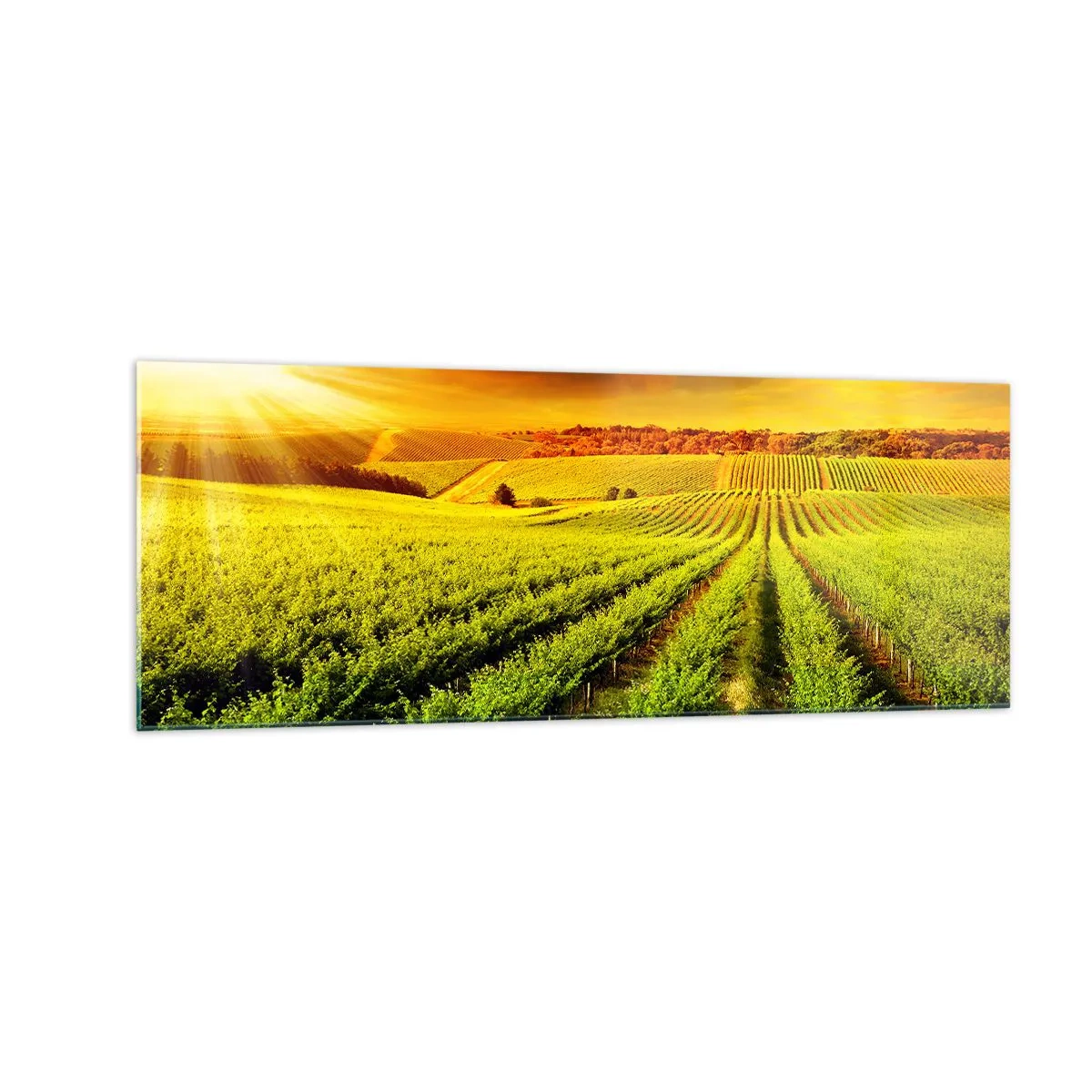 Schilderen op glas - Onder de Australische zon - 140x50 cm