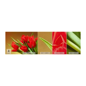 Fotobehang Monster Premium Canvas - Een bos van lentevreugde - Bloemen, Tulpen, Boeket bloemen - 100x30 cm