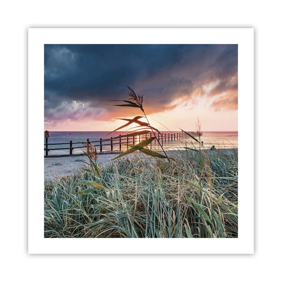 Poster - Het gaat niet met de wind mee - 50x50 cm