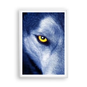 Poster in een witte lijst - Betoverende look - 70x100 cm