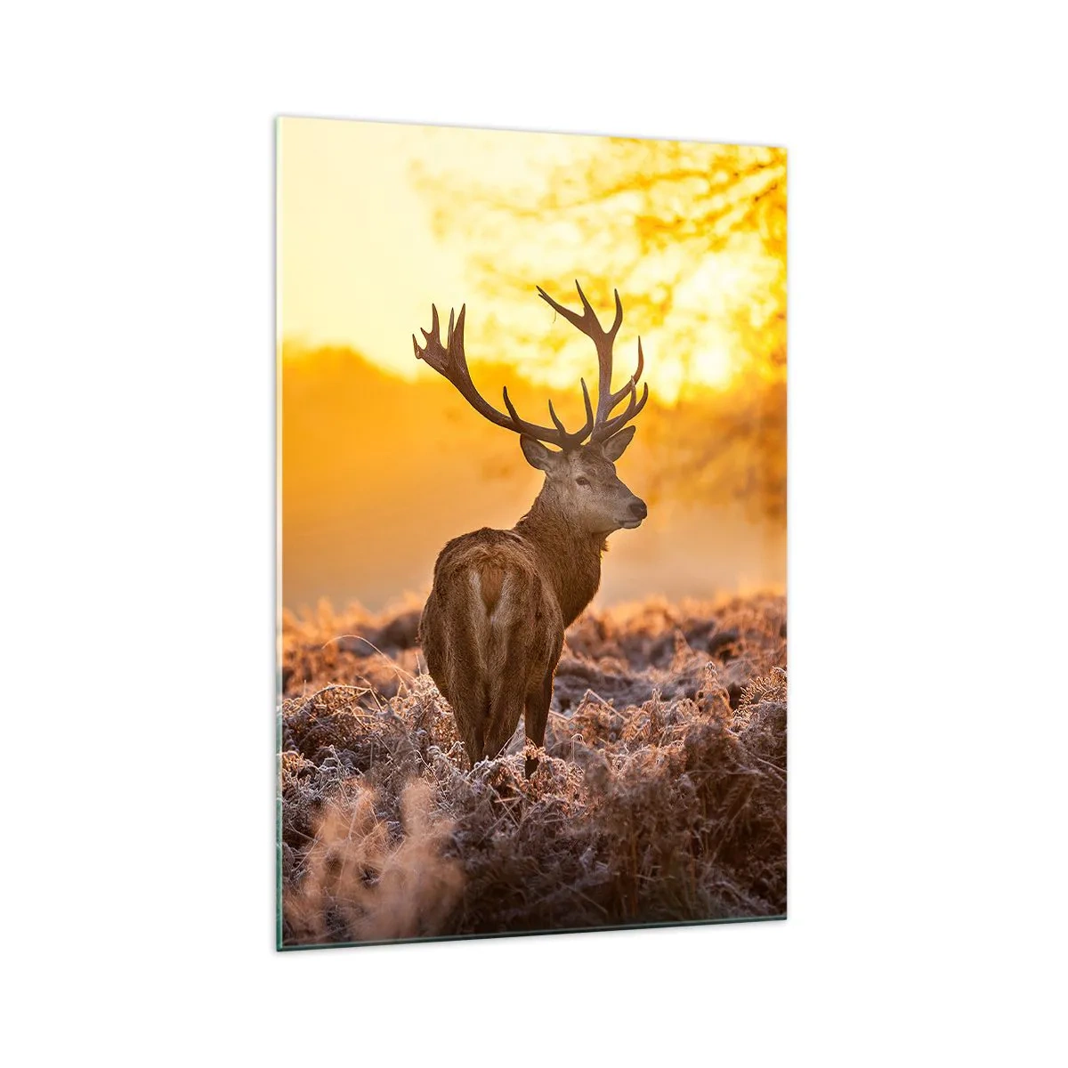 Schilderen op glas - Koning van het herfstbos - 70x100 cm