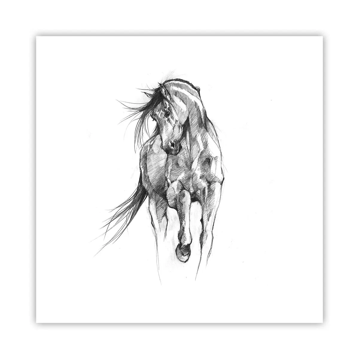 Poster - In een sierlijke draf - 40x40 cm
