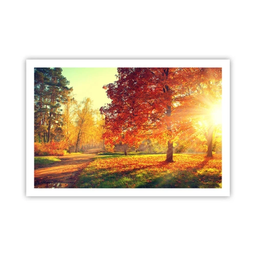 Poster - Rood is mooi - 91x61 cm