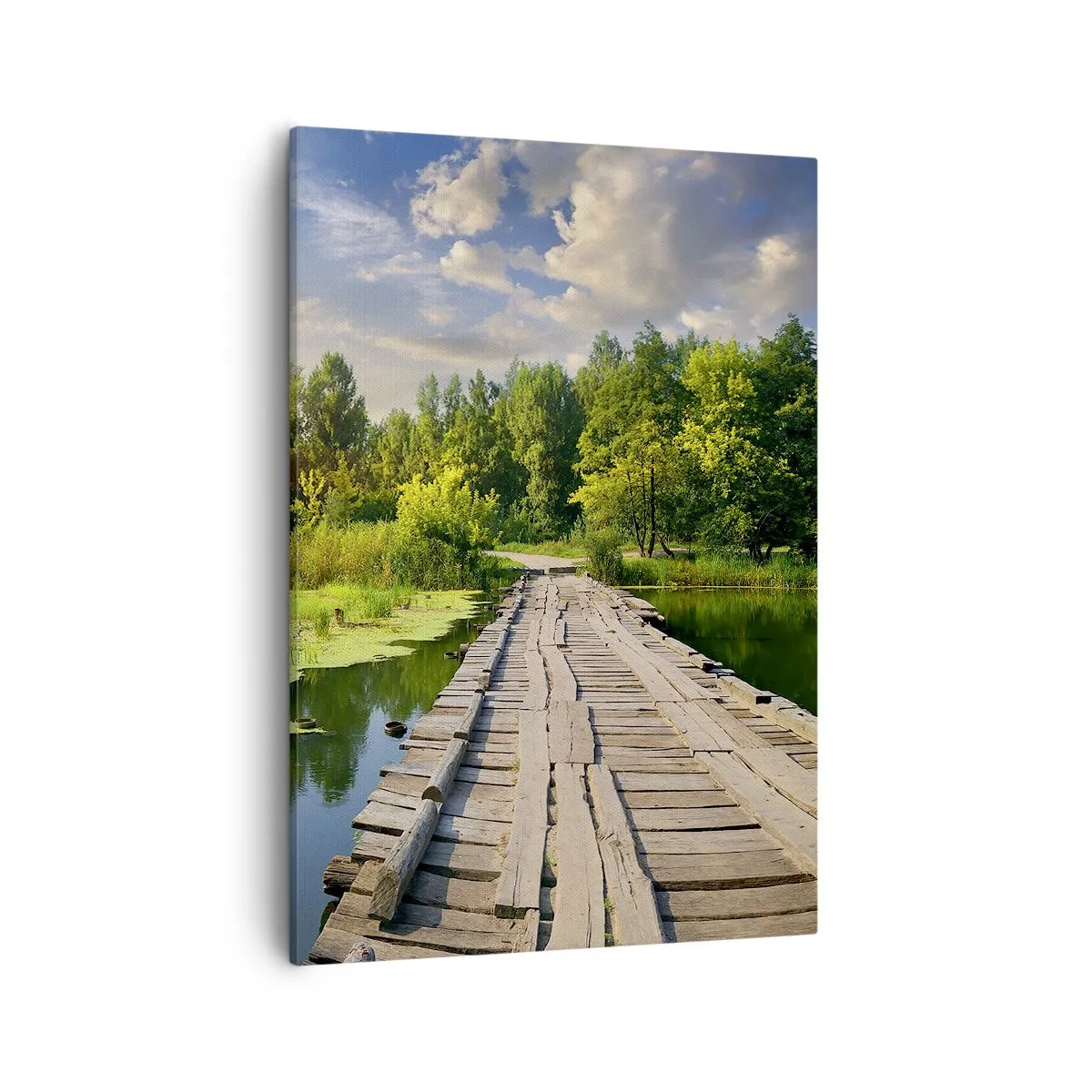 Schilderen op canvas - Zomer, zomer overal - 50x70 cm