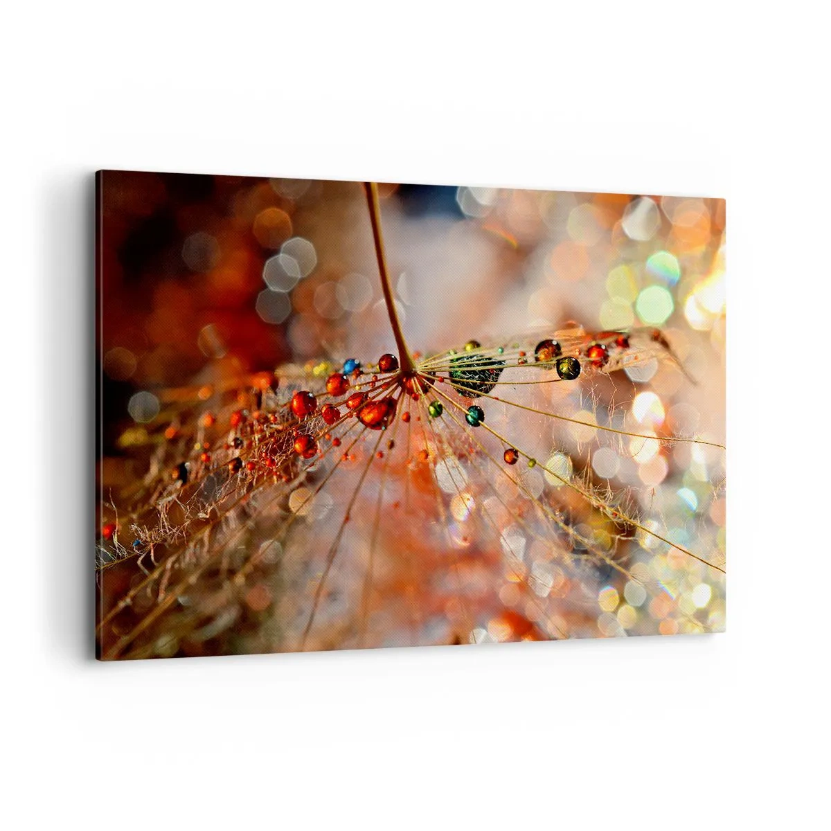 Schilderen op canvas - Geregen op een spinnendraad - 100x70 cm