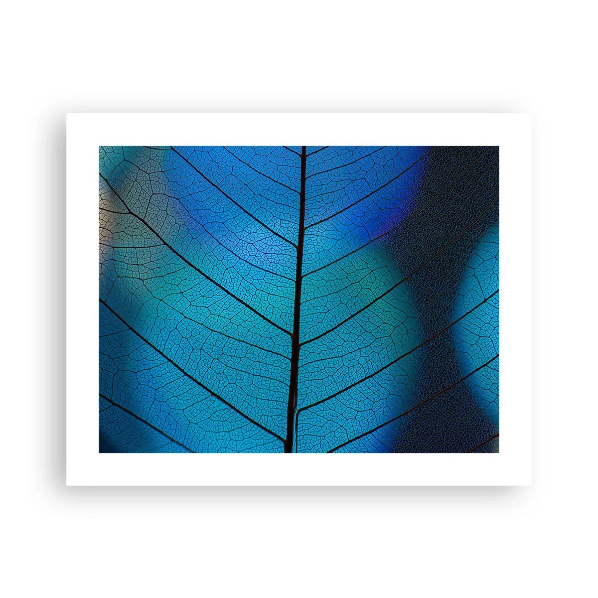 Poster - Ingewikkelde constructie - 50x40 cm