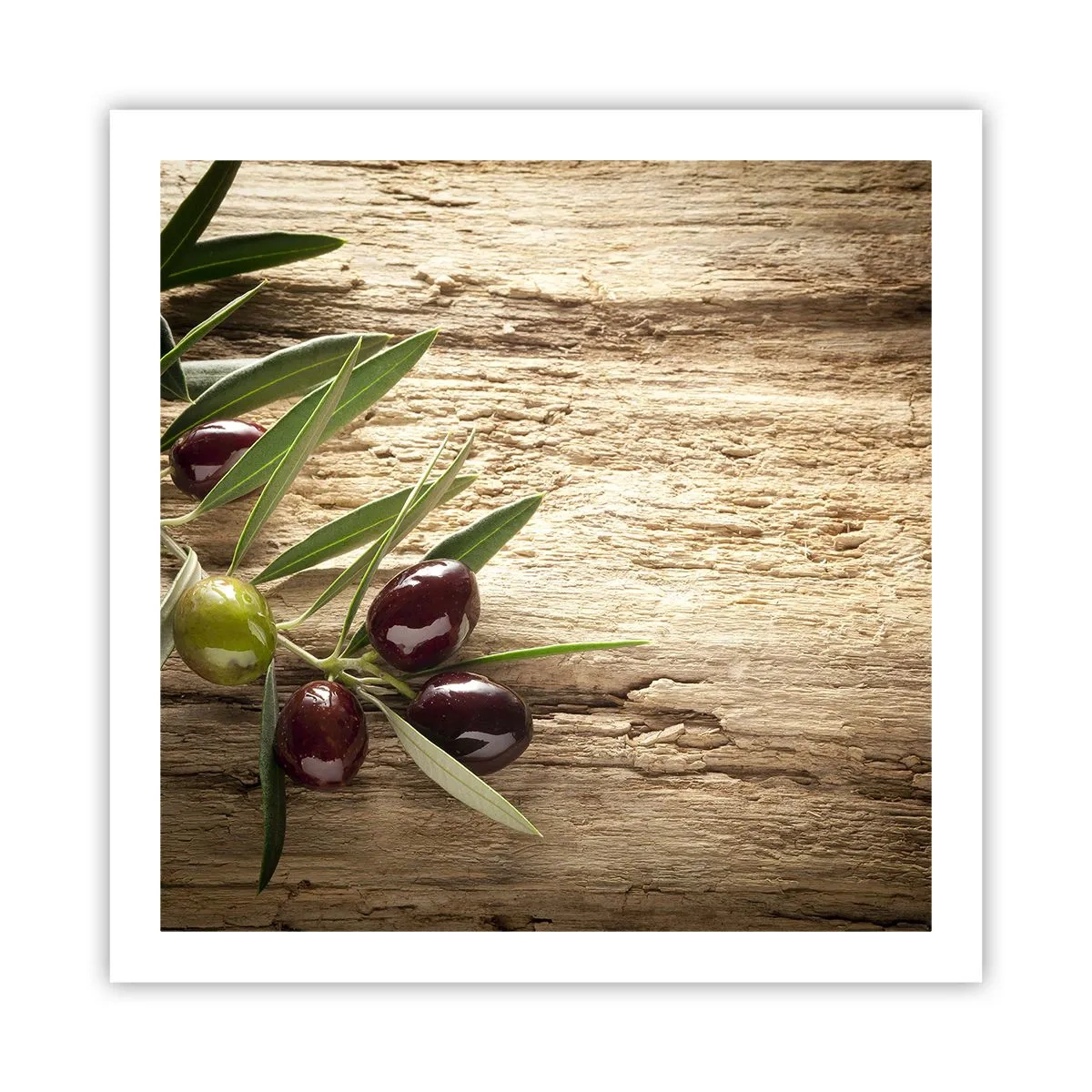 Poster - Rechtstreeks uit de natuur - 60x60 cm