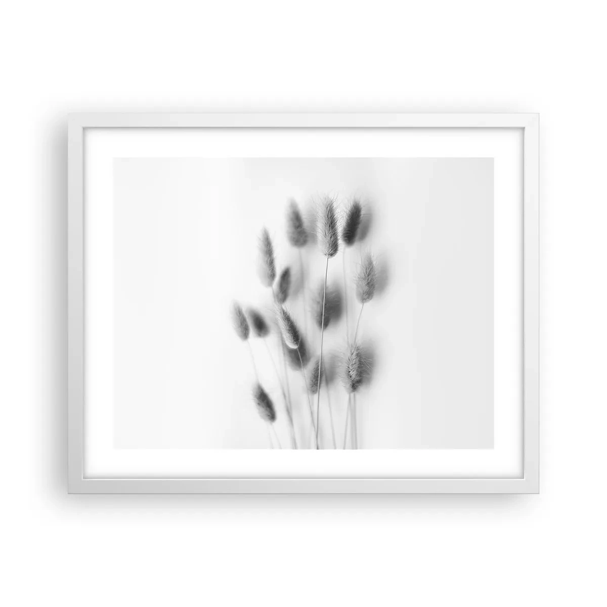 Poster in een witte lijst - Haar luchtigheid gras - 50x40 cm