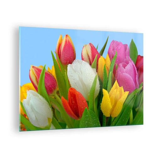 Schilderen op glas - Kleurrijke tulpen bedekt met dauwdruppels tegen een blauwe achtergrond - 70x50cm - Een bloemenregenboog in dauwdruppels - Moderne wanddecoratie voor woonkamer en slaapkamer ARTTOR