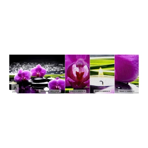 Fotobehang Monster Premium Sand - Verdrinken in rust en stilte  - Bloemen, Orchidee, Orchidee - 100x30 cm