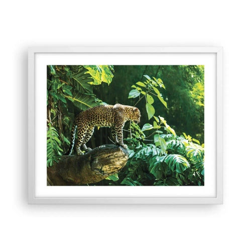 Poster in een witte lijst - Op jacht? - 50x40 cm