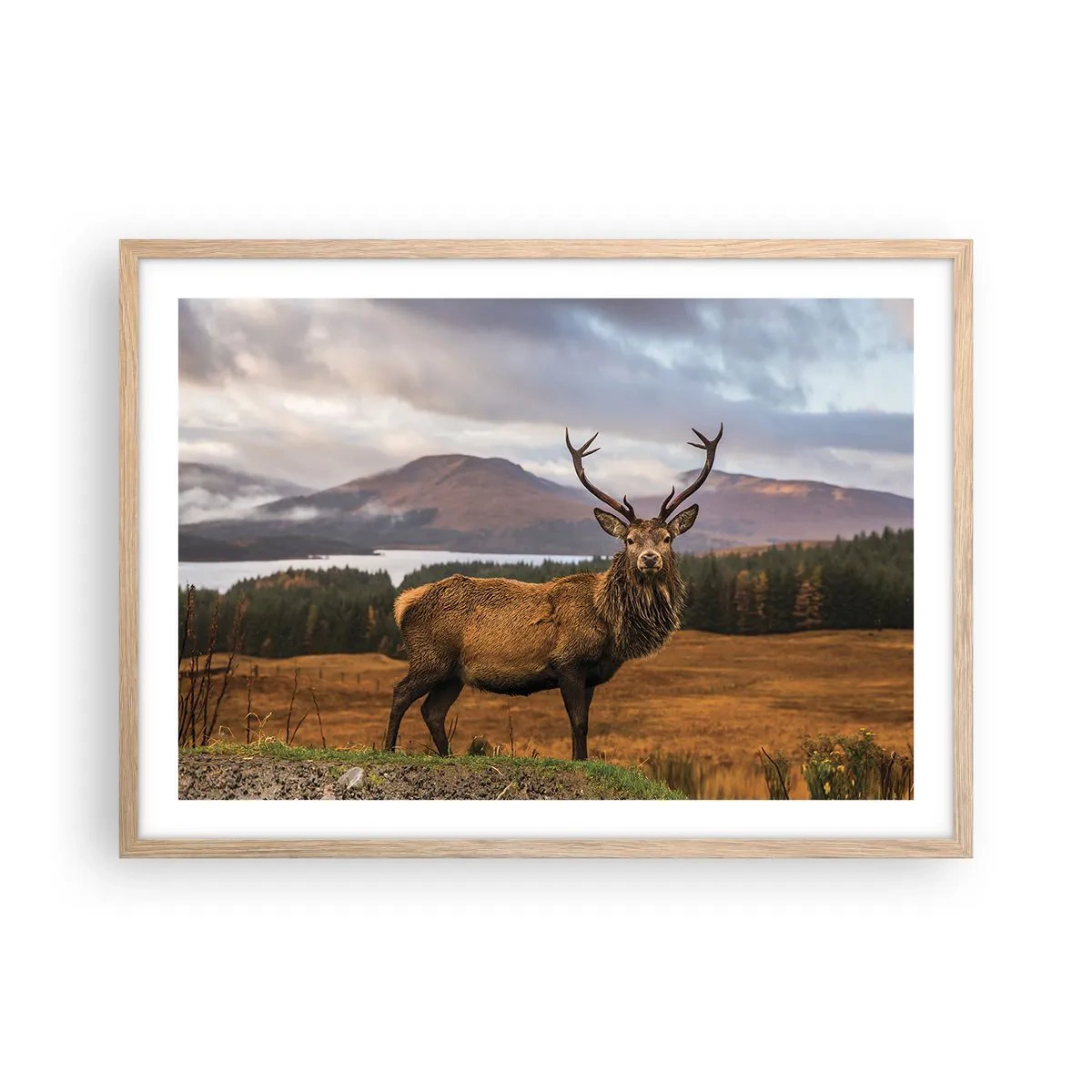 Een poster in een licht eiken lijst - De majesteit van de natuur - 70x50 cm