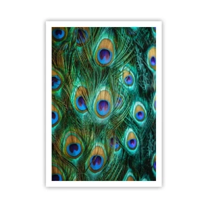 Poster - Een pauwenooglook - 70x100 cm