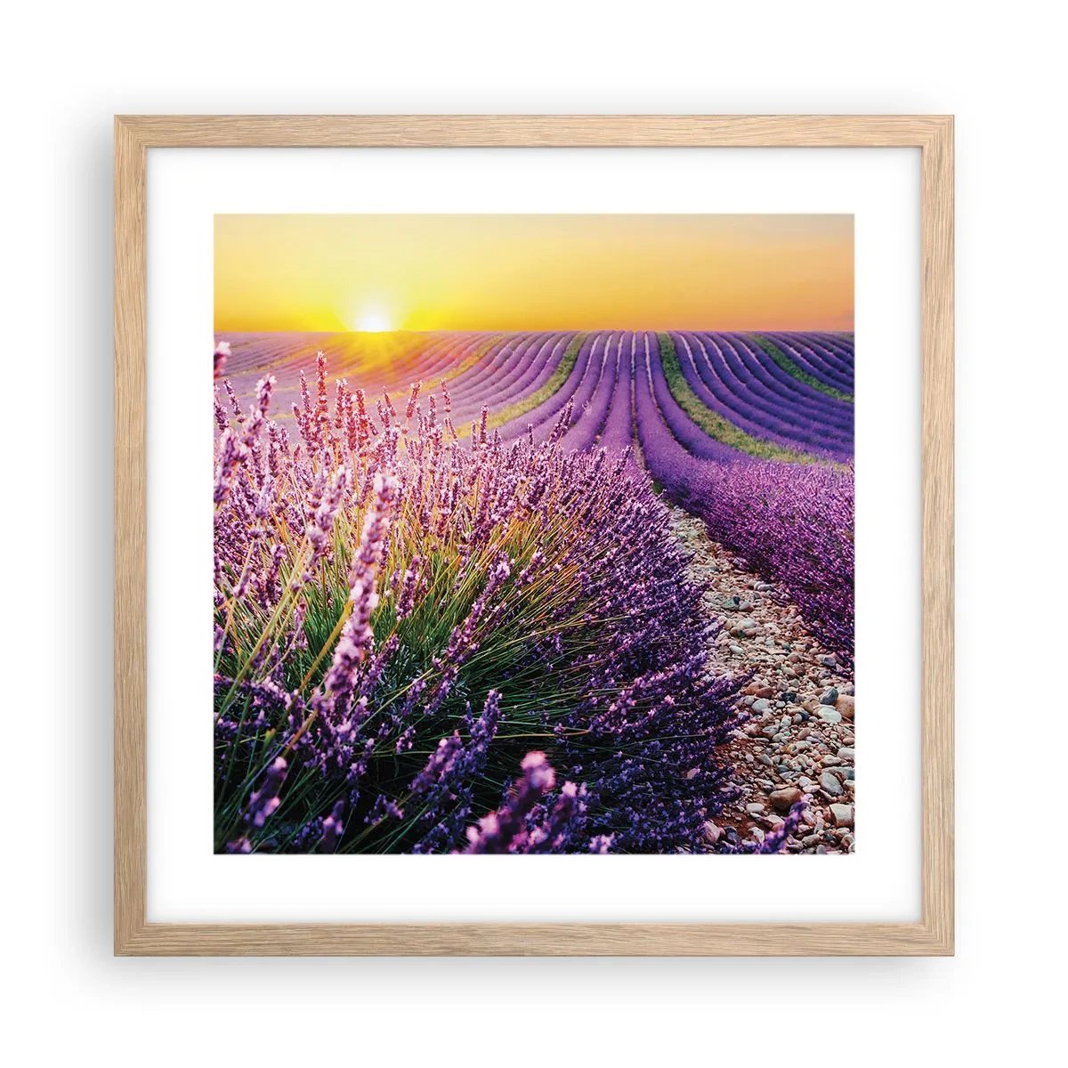 Een poster in een licht eiken lijst - Geurige korenvelden - 40x40 cm