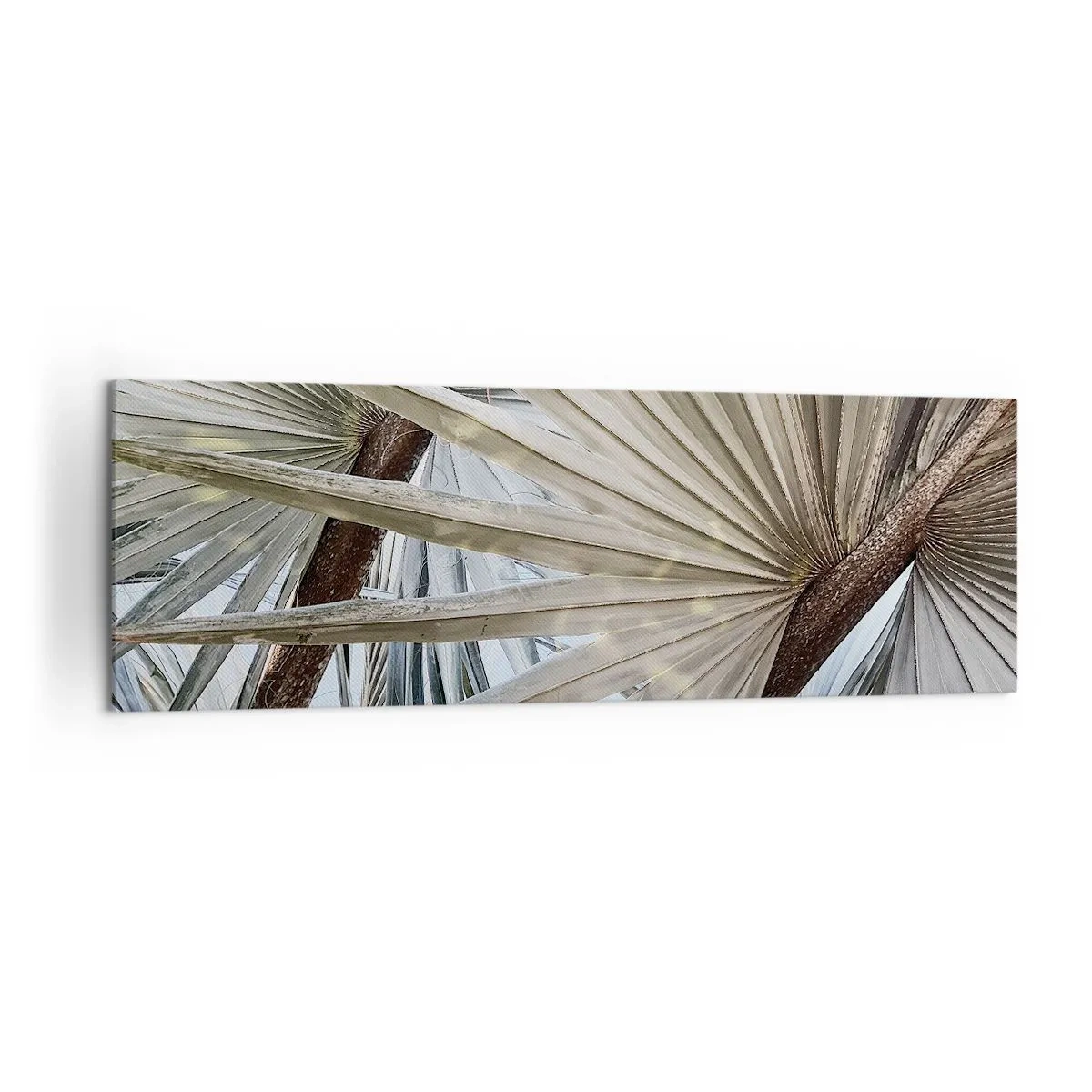 Schilderen op canvas - Fans in de tropen - 160x50 cm