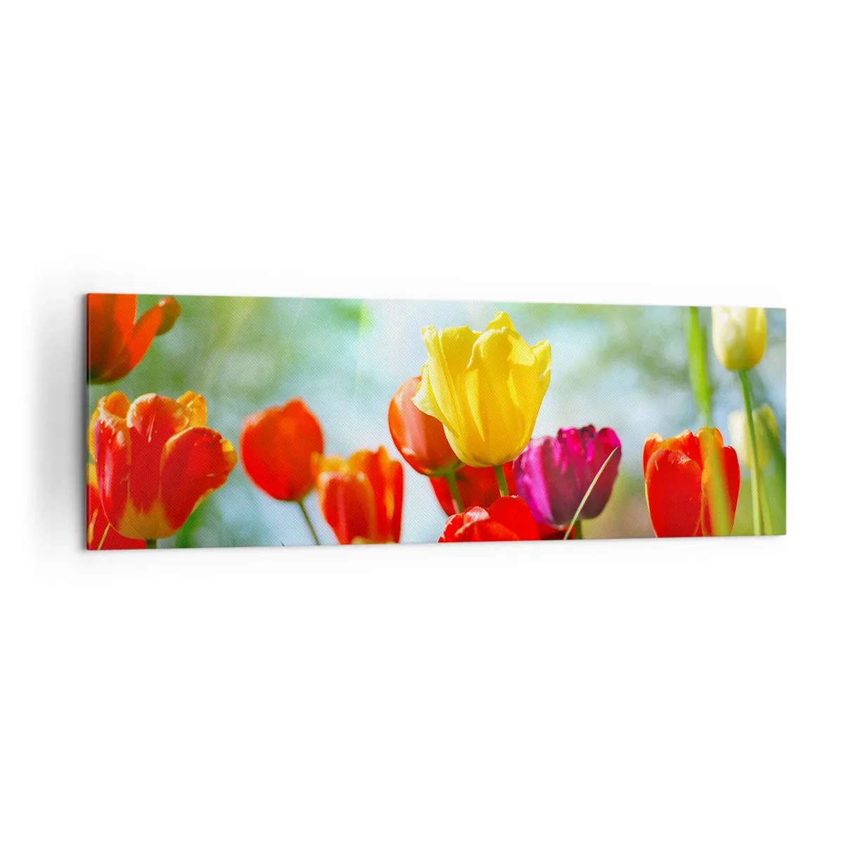 Schilderen op canvas - Alle kleuren van de zon - 160x50 cm