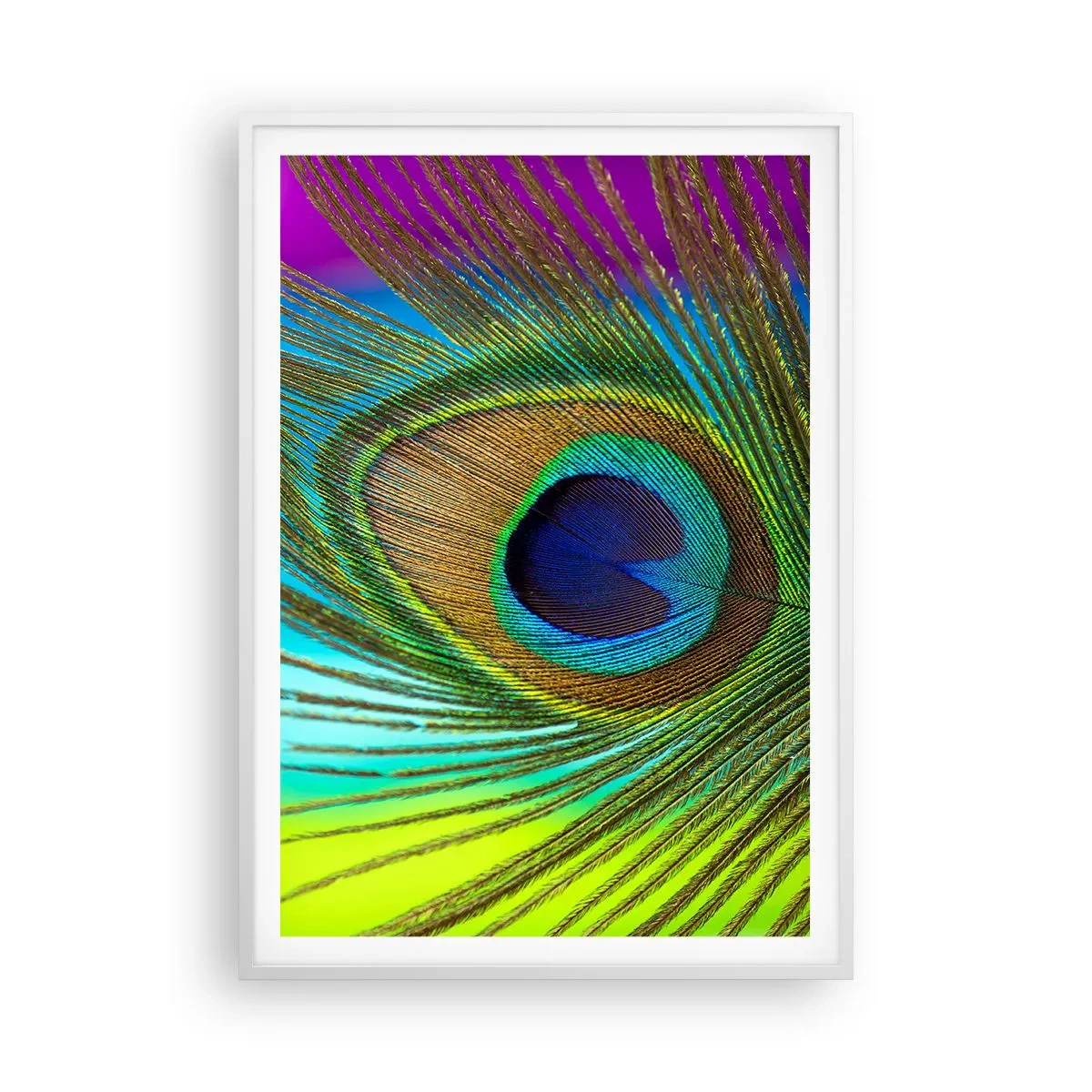 Poster in een witte lijst - Oog in oog - 70x100 cm