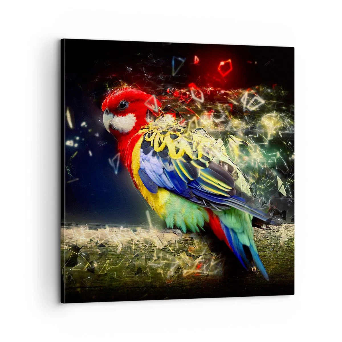 Schilderen op canvas - Boodschapper van uitstraling - 60x60 cm