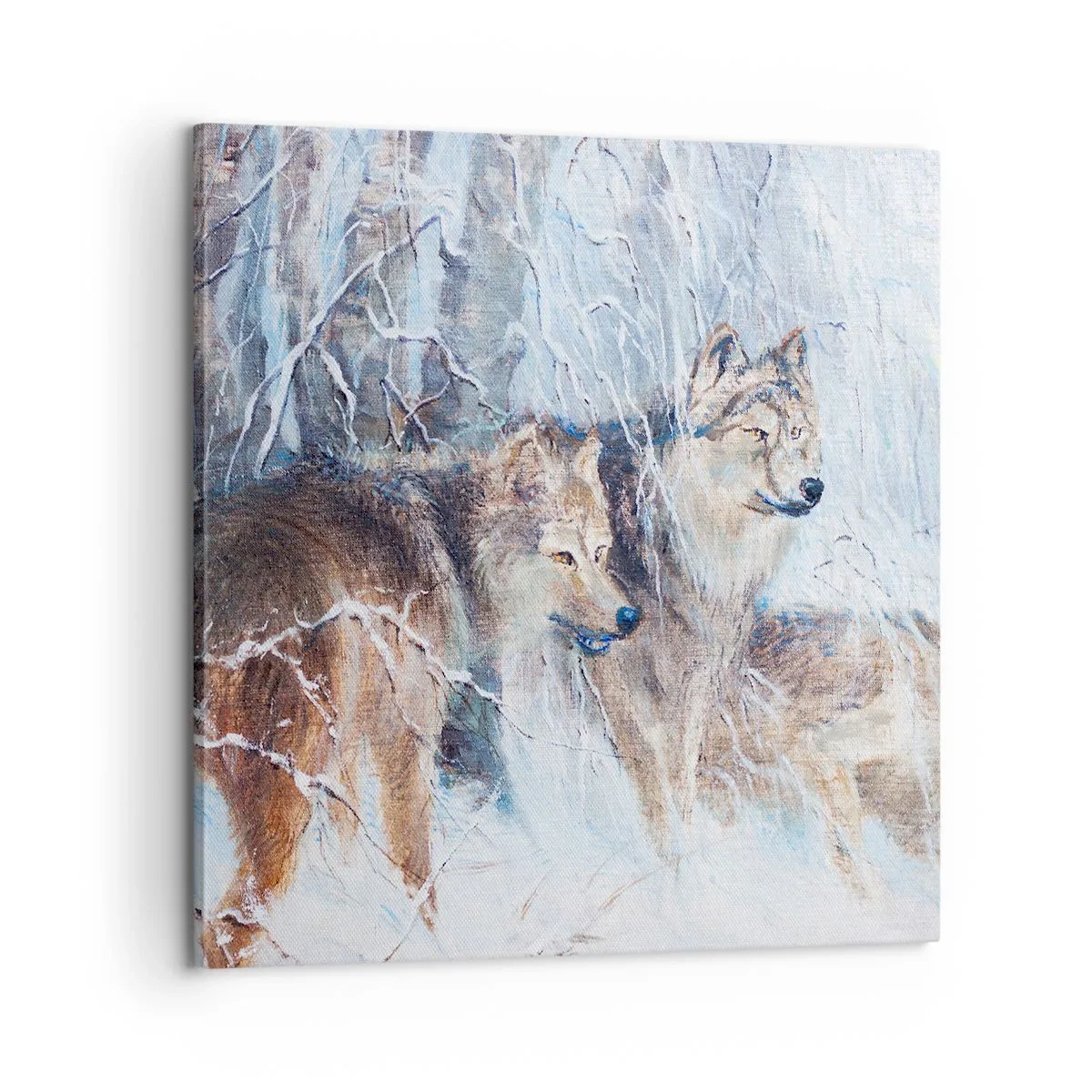 Schilderen op canvas - Aandacht! Hier komt ... - 60x60 cm