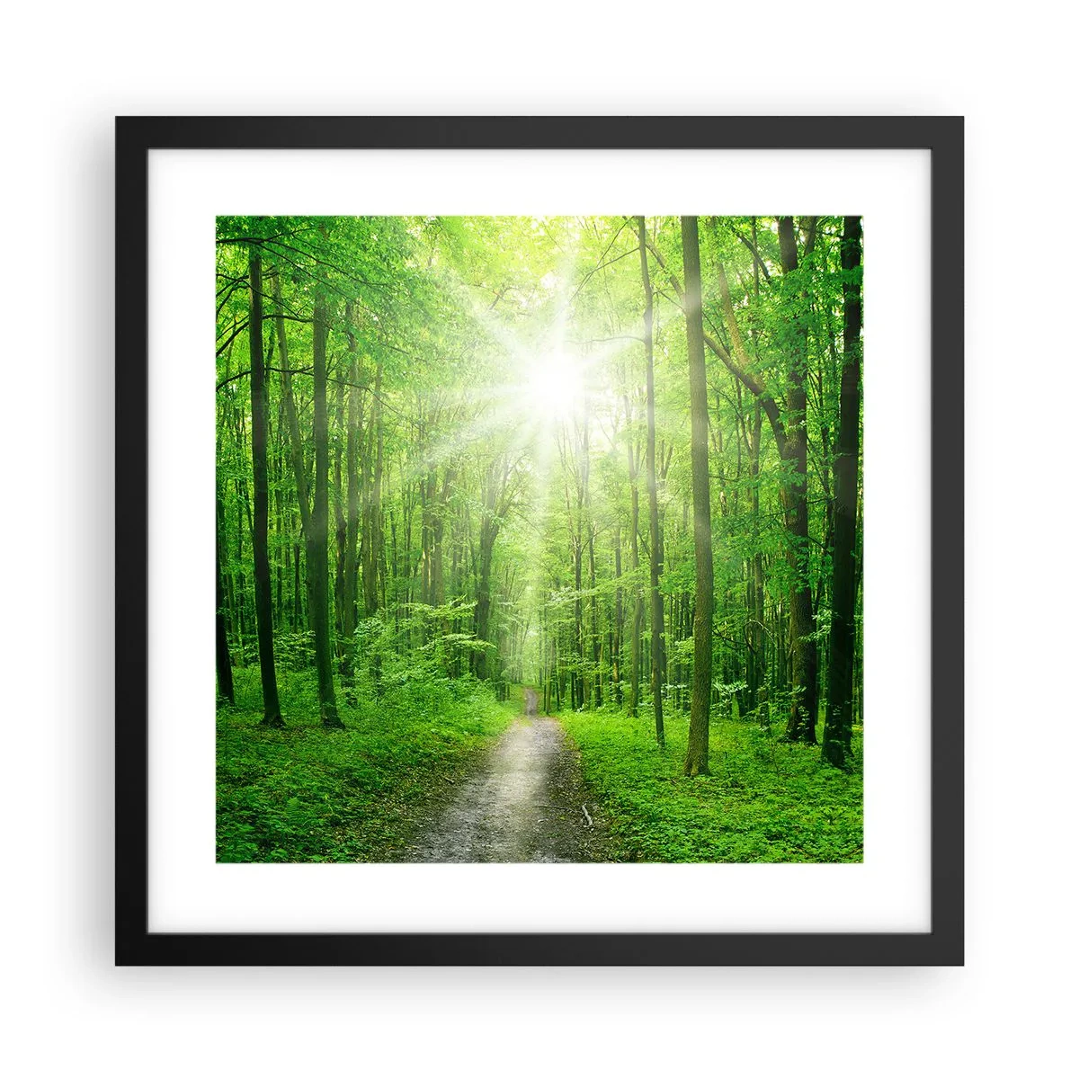 Poster in een zwarte lijst - De groene kathedraal - 40x40 cm