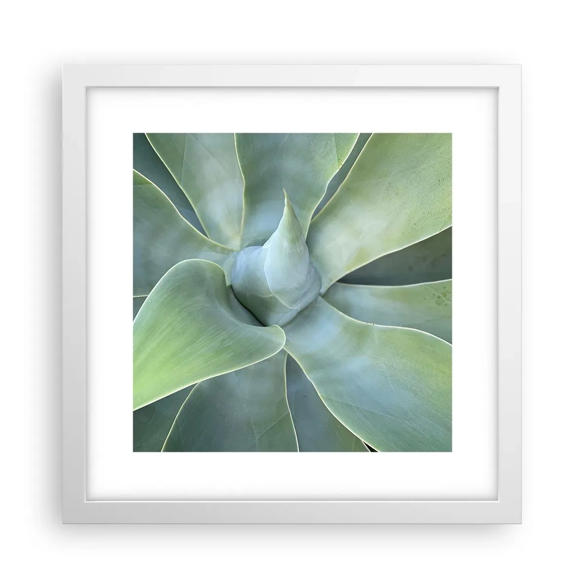 Poster in een witte lijst - De geboorte van groen - 30x30 cm