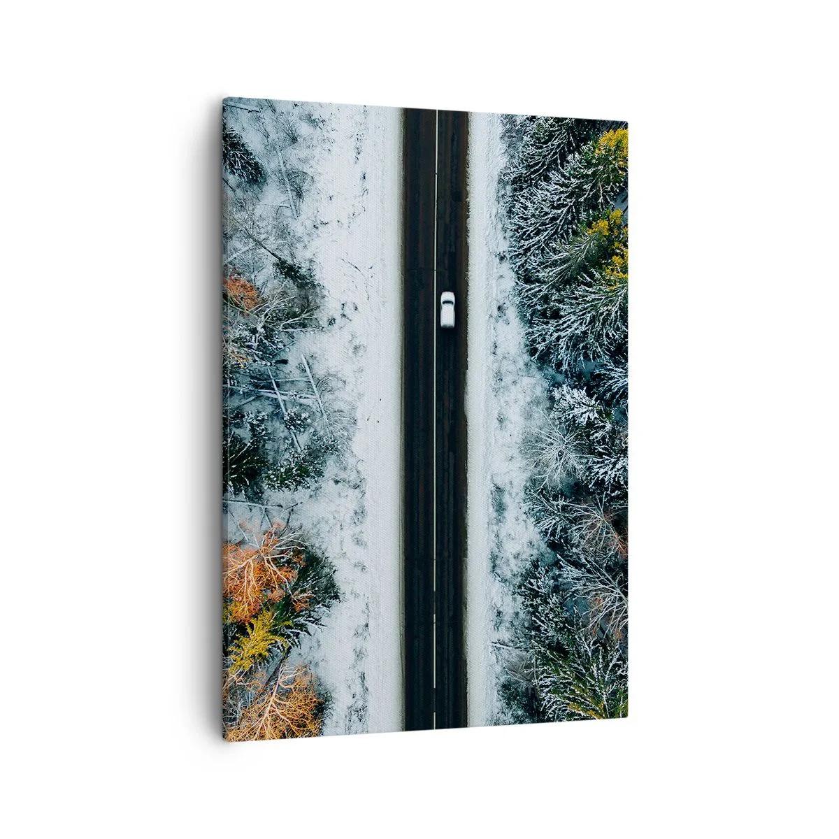 Schilderen op canvas - Snijd door het winterbos - 50x70 cm