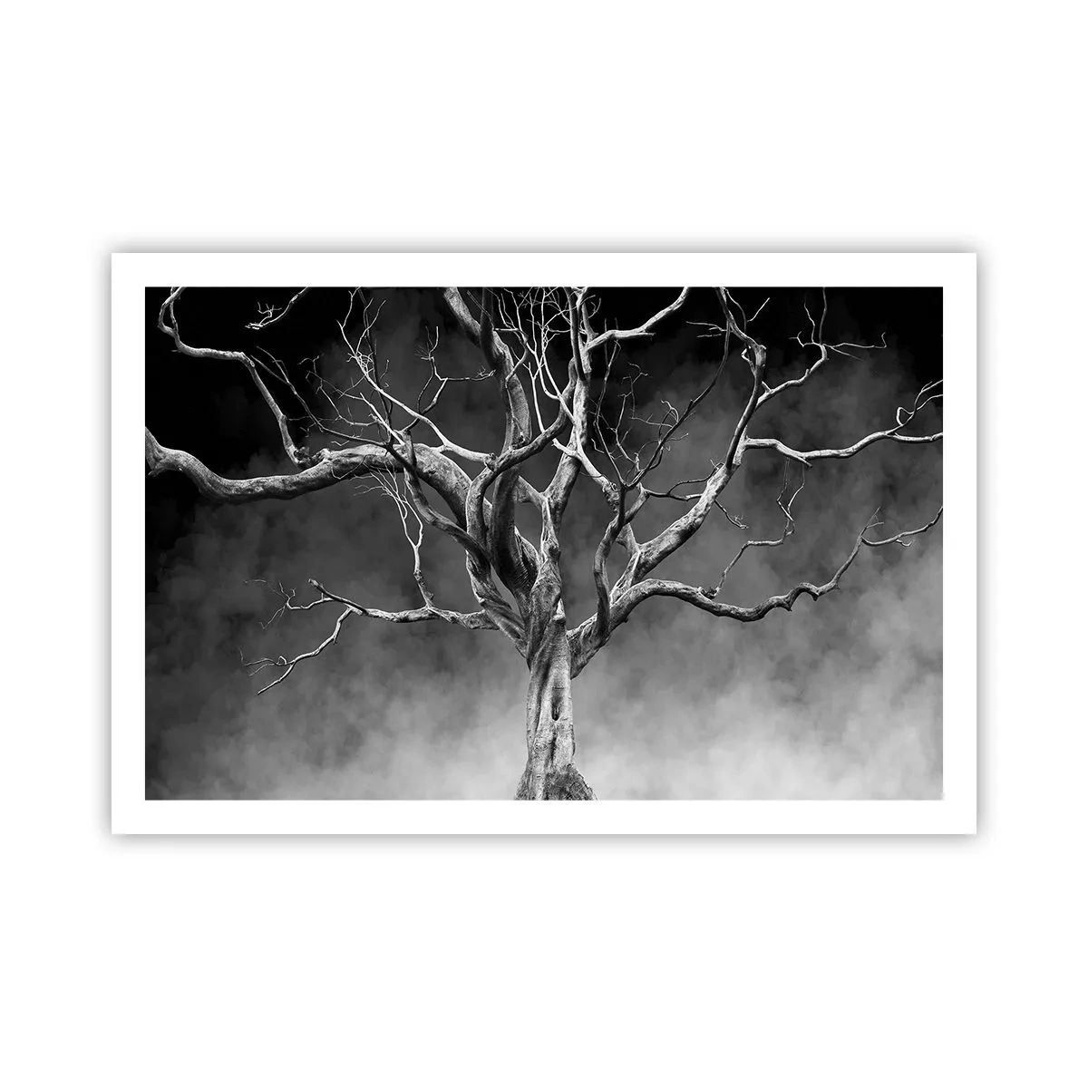 Poster - Oorspronkelijk en heilig - 91x61 cm