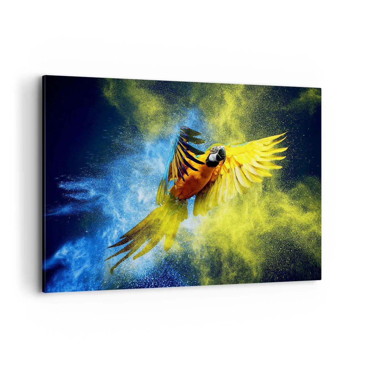 Schilderen op canvas - In het blauwe en gouden stof - 120x80 cm