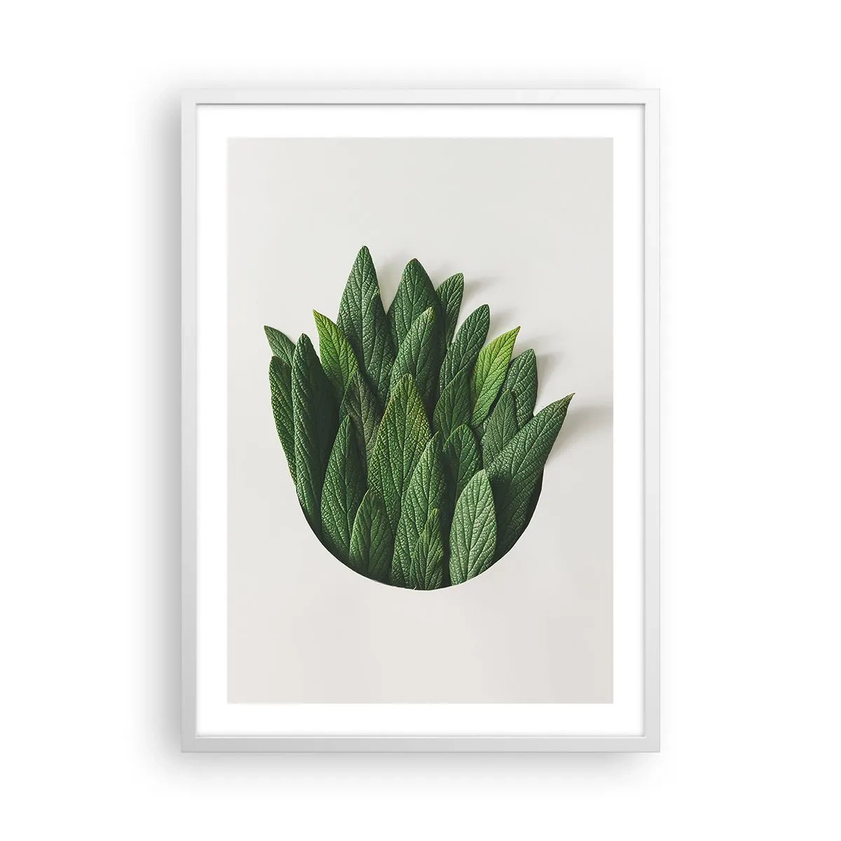 Poster in een witte lijst - Ongebreidelde nieuwsgierigheid - 50x70 cm