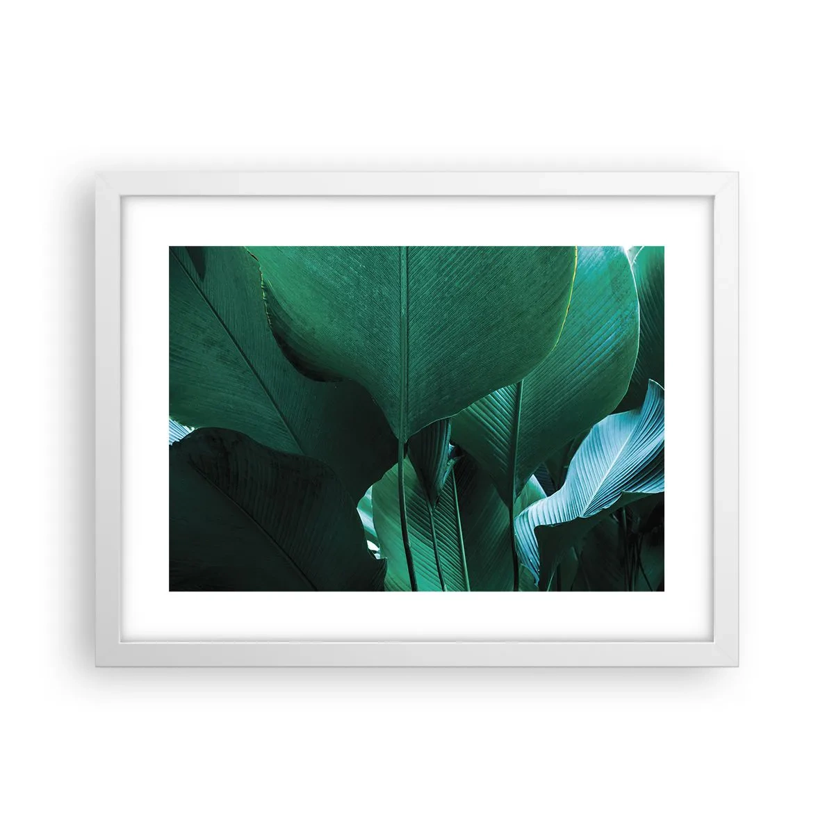Poster in een witte lijst - Naar het licht gekeerd - 40x30 cm