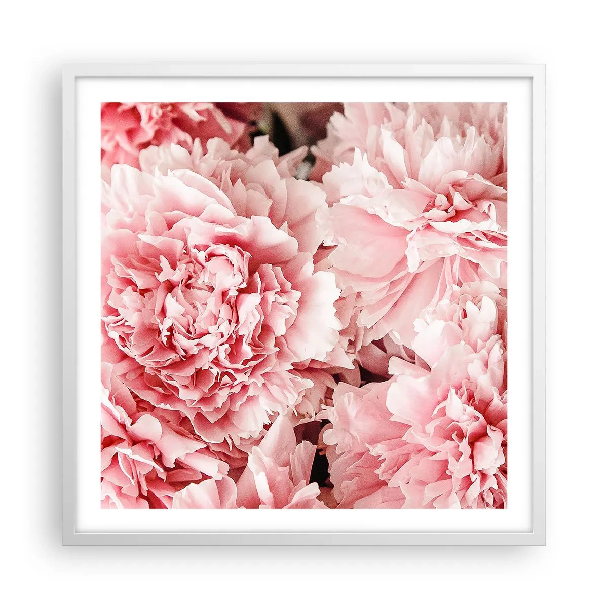 Poster in een witte lijst - Roze droom - 60x60 cm