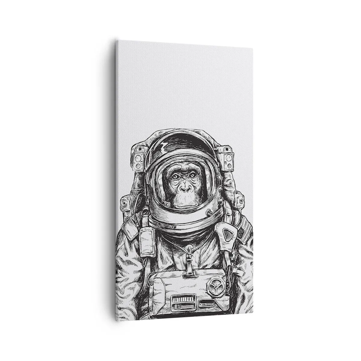 Schilderen op canvas - Alternatieve evolutie - 55x100 cm