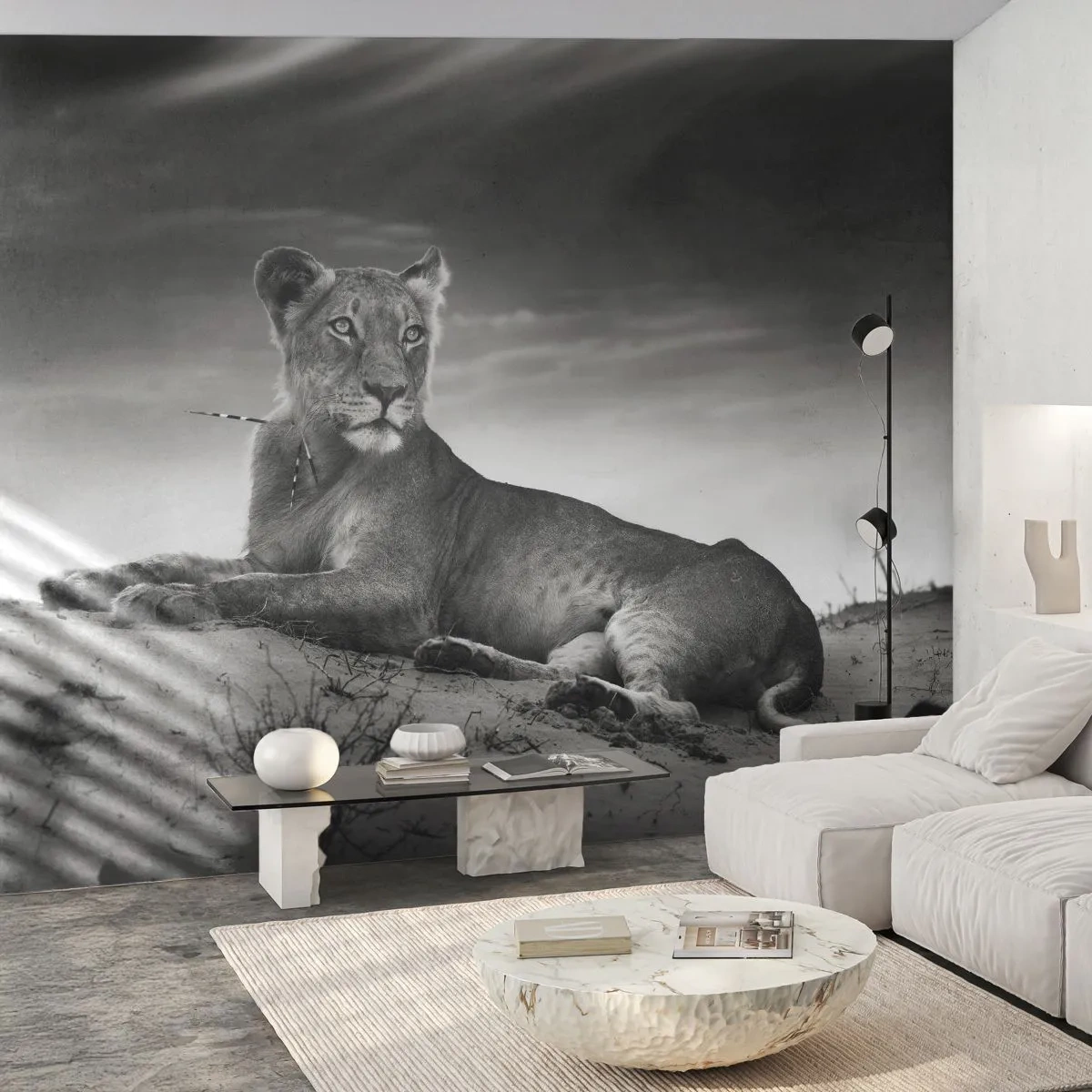 Fotobehang Premium Sand - De koningin van de woestijn rust - Dieren, Leeuw, Woestijn - 100x70 cm
