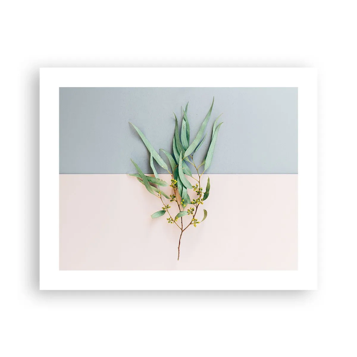 Poster - Subtiliteit in pastelkleuren - 50x40 cm