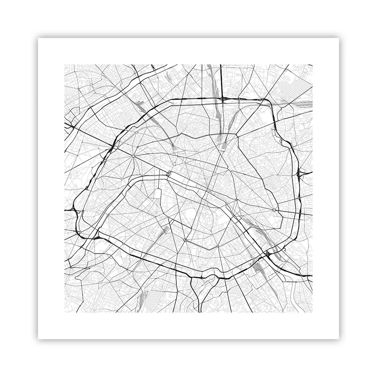 Poster - Parijs bloem - 40x40 cm