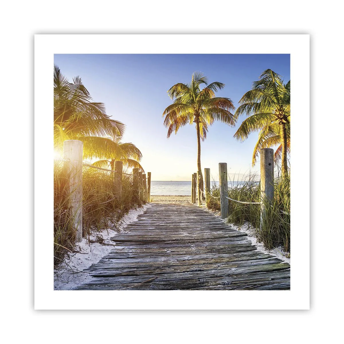 Poster - Rechtstreeks naar het paradijs - 50x50 cm