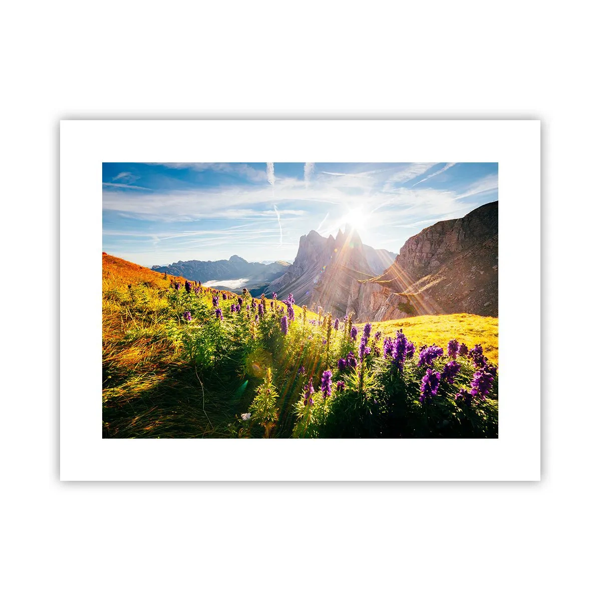 Poster - Het geheime leven van kruiden - 40x30 cm