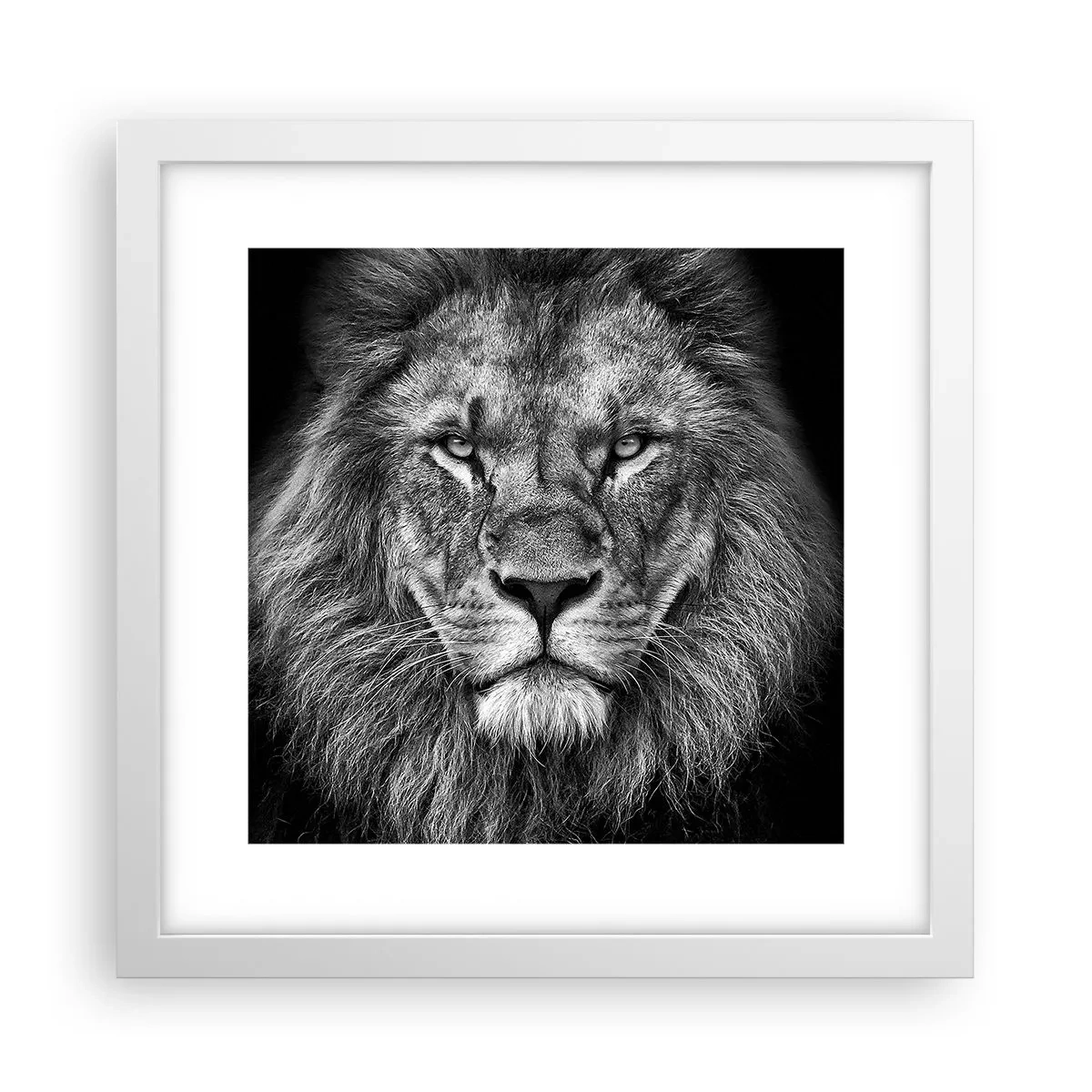 Poster in een witte lijst - In een kroningskleed - 30x30 cm