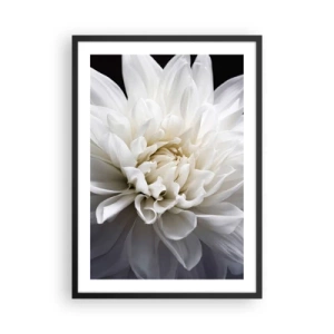 Poster in een zwarte lijst - Close-up van een witte dahlia tegen een donkere achtergrond - 50x70cm - Ochtend van de bruid - Moderne wanddecoratie voor woonkamer en slaapkamer ARTTOR