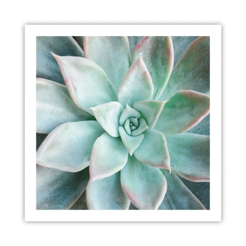 Poster - Het hart van de woestijn - 60x60 cm