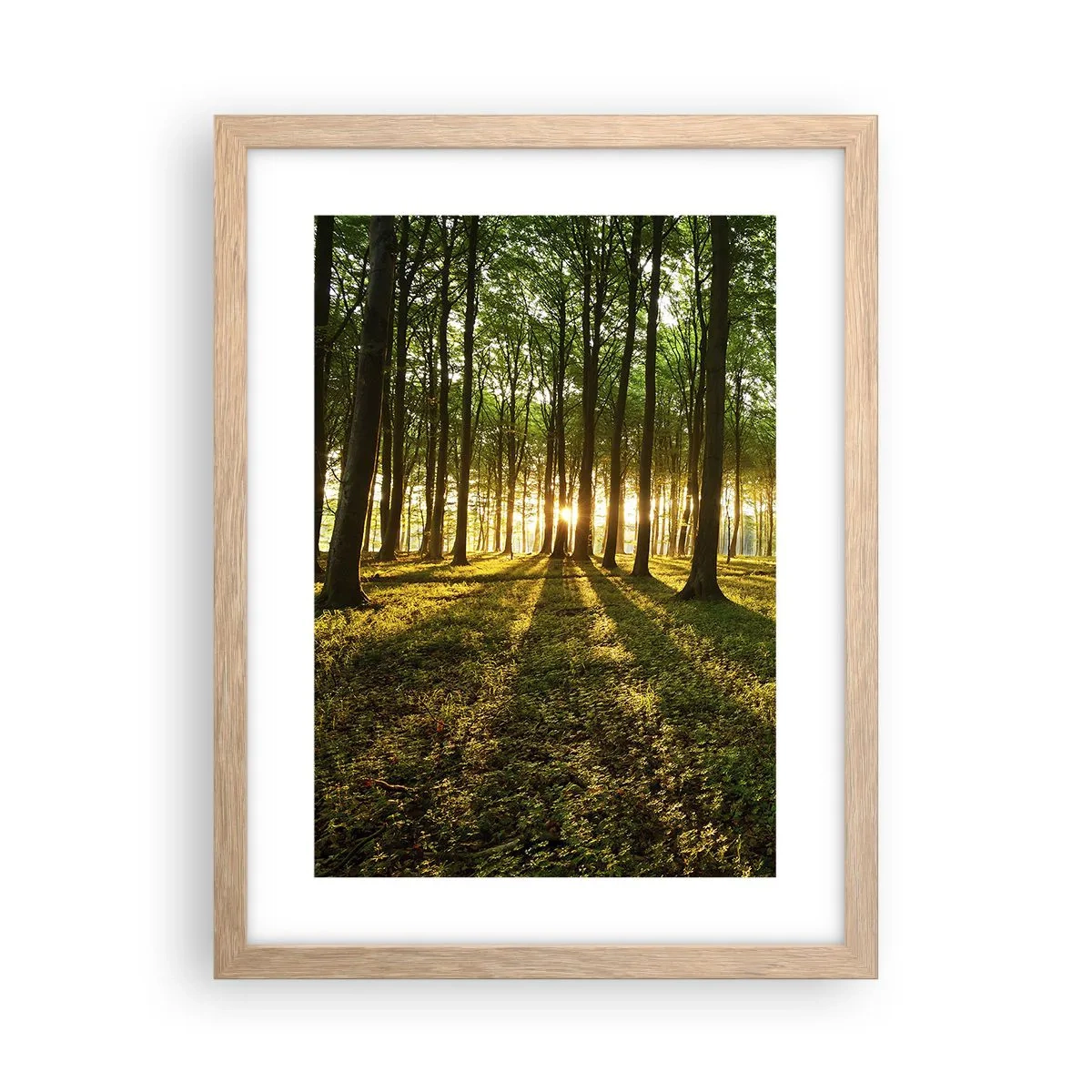 Een poster in een licht eiken lijst - Foto van de hele lente - 30x40 cm