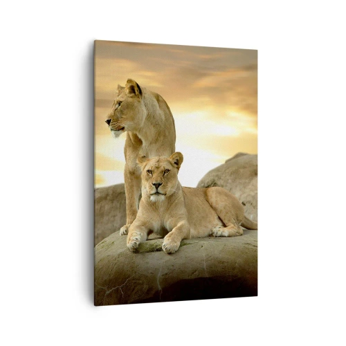 Schilderen op canvas - Koninklijke majesteit - 70x100 cm