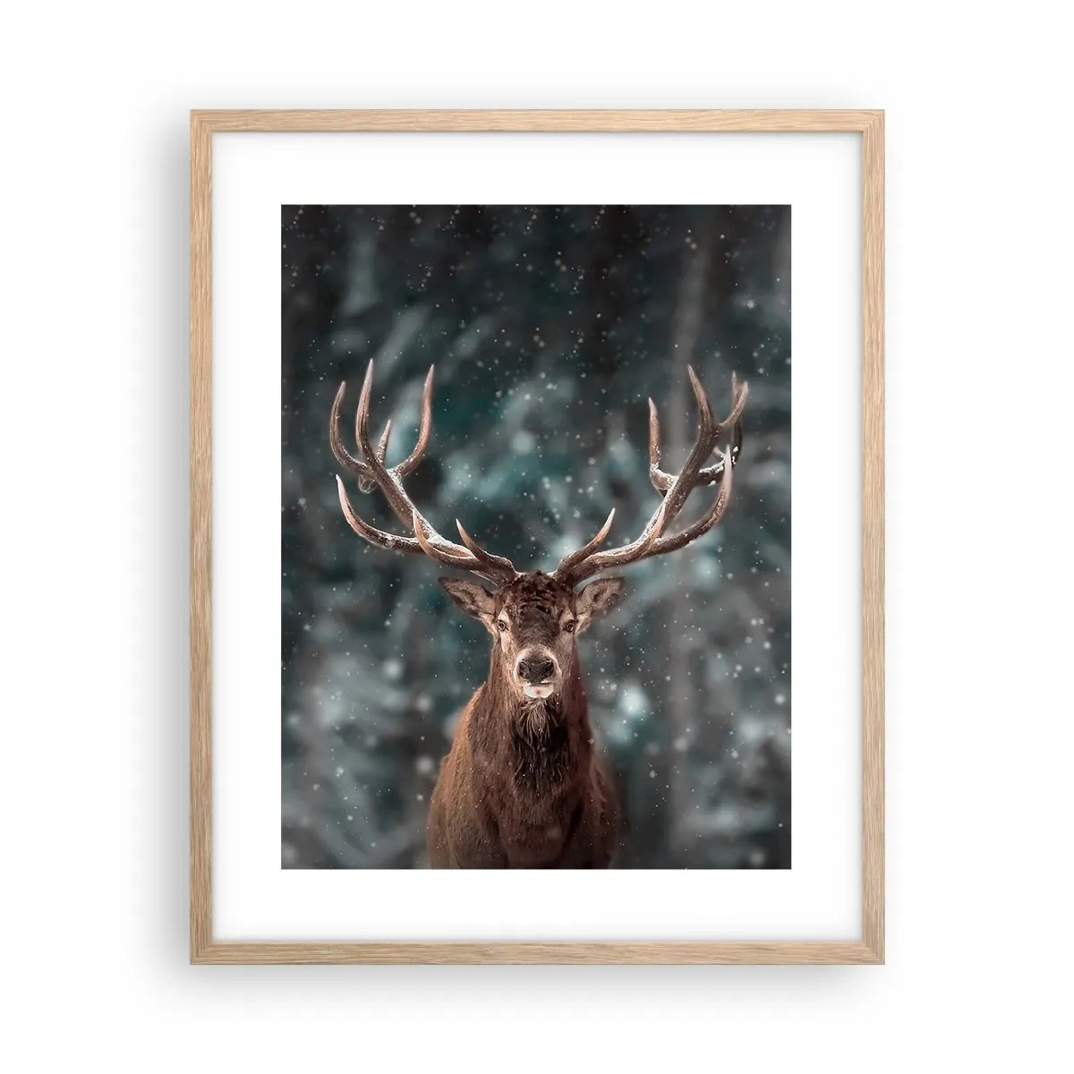 Een poster in een licht eiken lijst - Gekroond tot koning van het bos - 40x50 cm