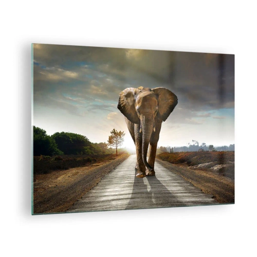 Schilderen op glas - Een olifant die bij zonsondergang langs de weg loopt - 70x50cm - En helemaal niet in een porseleinen pakhuis - Moderne wanddecoratie voor woonkamer en slaapkamer ARTTOR